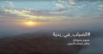 الضباب في بدية