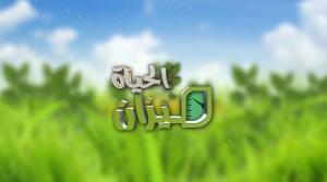 برنامج ميزان الحياة