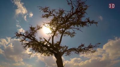 تجميعة تايمزلاب