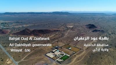 Oud Zafran/بهجة عود الزعفران