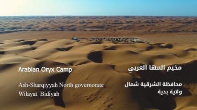 Arabian Oryx Camp /مخيم المها العربية