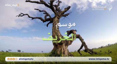 كل ما تريد معرفته عن #خريف_صلالة [ فلم وثائقي ]